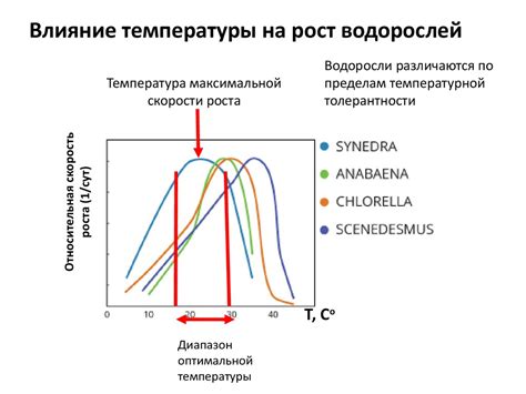 Влияние температуры на образование изморози