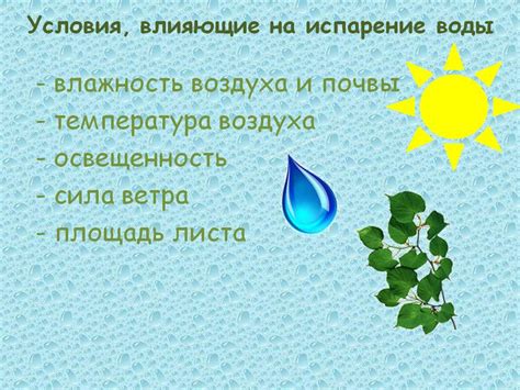 Влияние хлорированной воды на растения