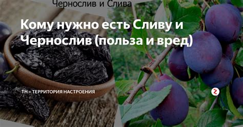 Влияние чернослива на гв: польза или вред?