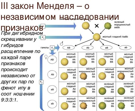 Влияние эпигенетического наследования на фенотип потомков