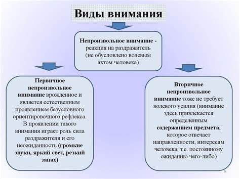 Внимание и интерес в глазах