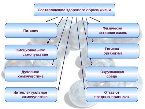 Воздействие стресса на образ жизни и питание