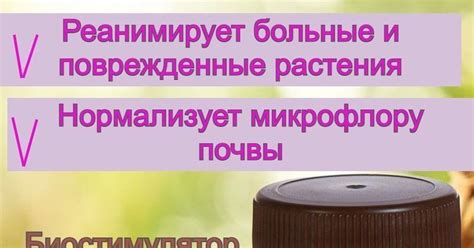 Воздействие янтарной кислоты на организм младенца при грудном вскармливании