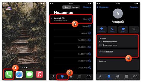 Возможности звонков в WhatsApp: удобство и недостатки