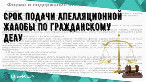 Возможности и преимущества платной апелляционной жалобы