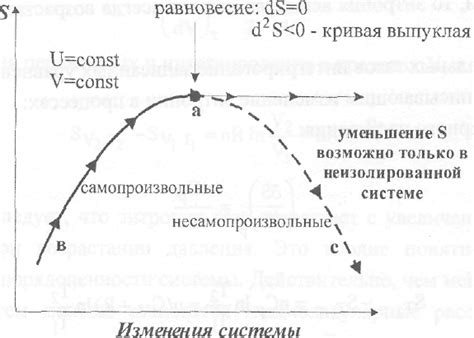 Возможность отрицательной энтропии в системах с самоорганизацией