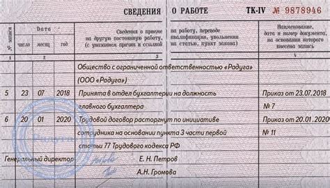 Возможность оформления задним числом в рамках трудового законодательства