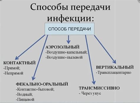 Возможность передачи инфекций и паразитов