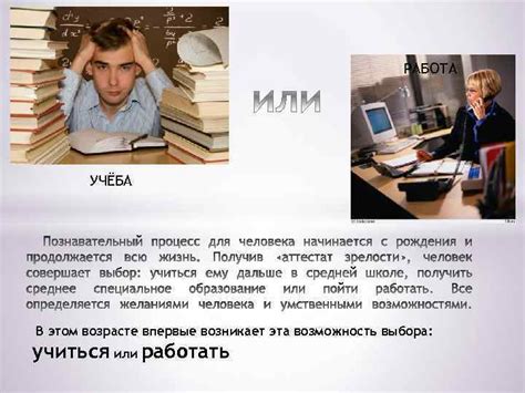 Возможность работать или учиться в тихом месте