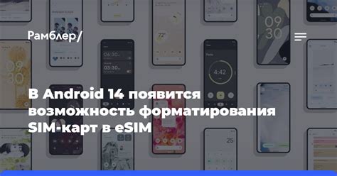 Возможность установки форматирования