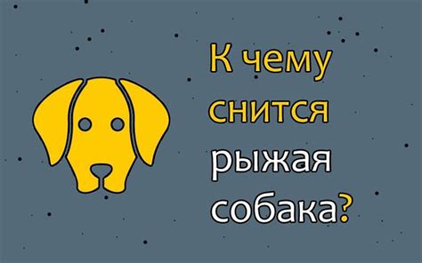 Возможные значения снов о собаке, которая нанесла укус: разгадывая символику происшествия