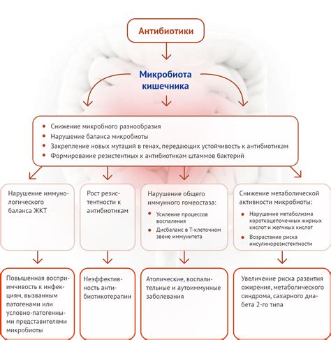 Возможные негативные последствия применения антибиотиков