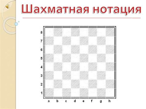 Возможные расположения фигур на доске