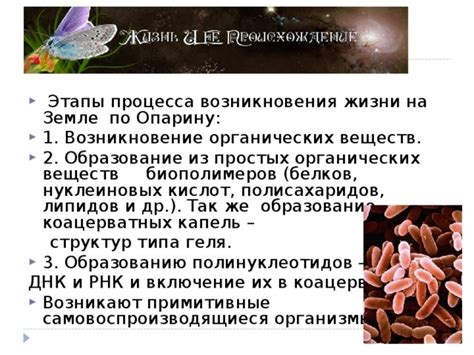 Возникновение простых организмов