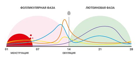 Возраст и начало приема женских гормонов: как определить?