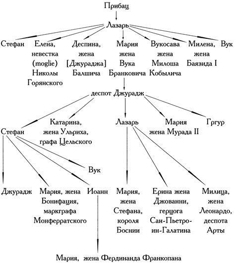 Восемь Миллионов Богов: описание и польза