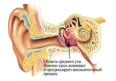 Воспаление среднего уха и его связь с шевелением в ухе