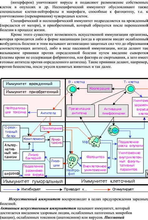 Воспалительный процесс после введения иммуноглобулина