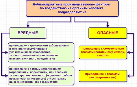 Вредные факторы, которые могут негативно влиять на ретривера на улице