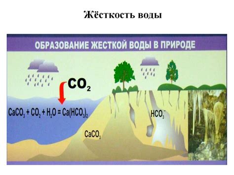 Вред загрязненной воды для здоровья