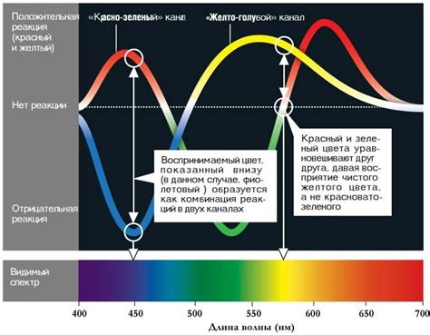 Вред яркого света для глаз: факты и советы