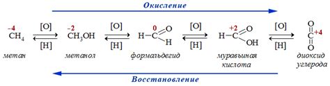 Время восстановления и окисления: причины и процессы