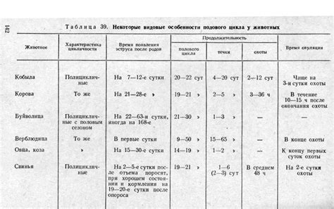 Время и длительность течки