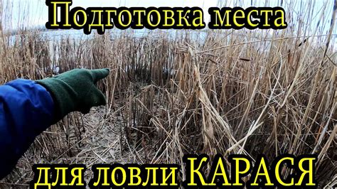 Выбор и подготовка карася