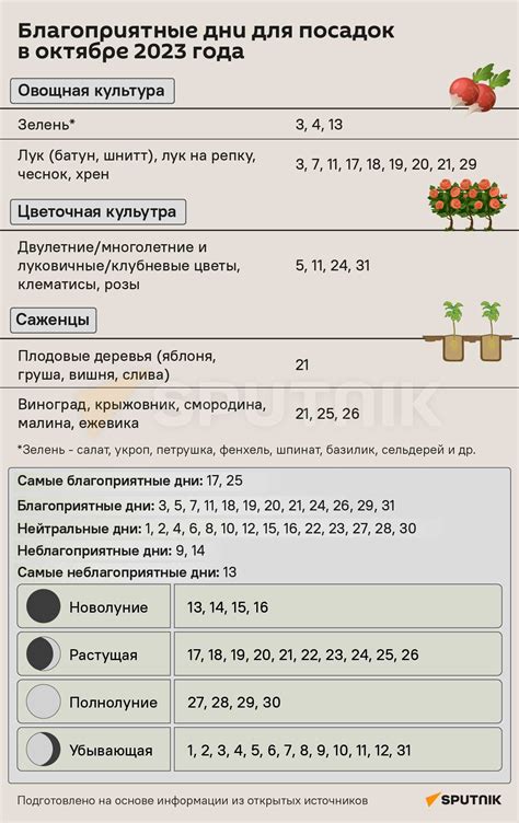 Выбор оптимального времени для посева лобулярии в Сибири