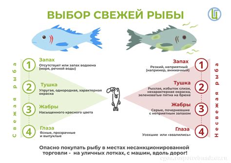 Выбор свежей и крупной рыбы