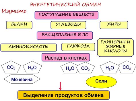 Выделение вредных веществ