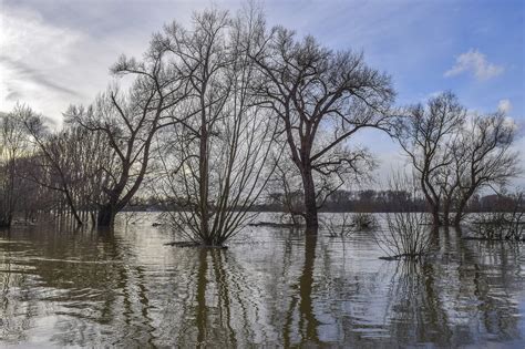 В каких регионах популярно окрашивание воды черным рисом