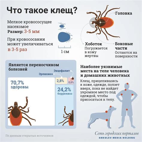 Где можно сделать прививку от клеща?