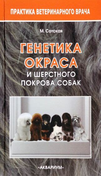 Генетика и возникновение окраса