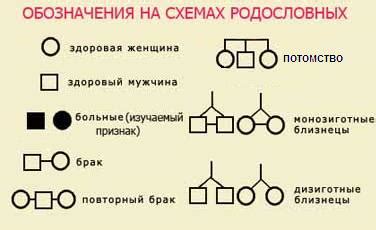 Генетический анализ родителей