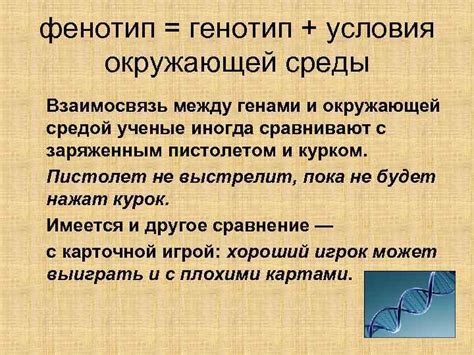 Гены и социальное поведение: взаимосвязь между наследственностью и окружающей средой