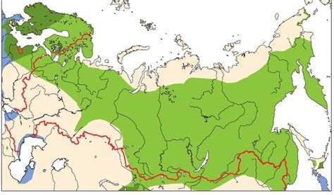 География обитания хомяков: страны и климат