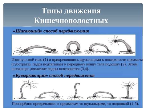 Гибридный способ передвижения