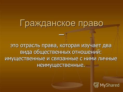 Гражданское законодательство: основные понятия и принципы