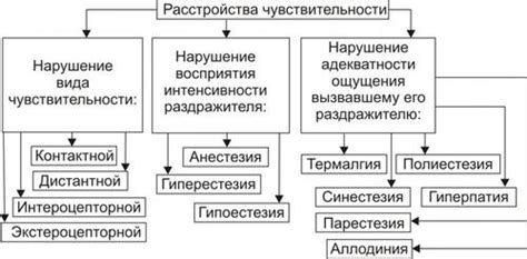 Графики изменения чувствительности гормональной системы