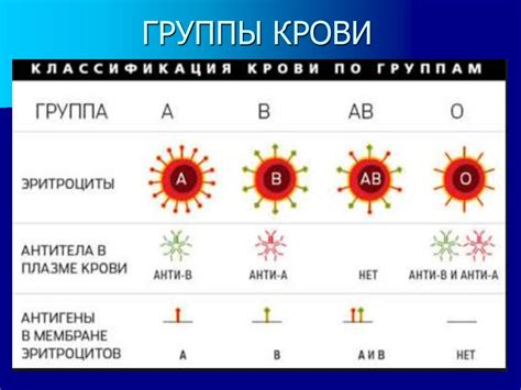 Группы крови: основные типы