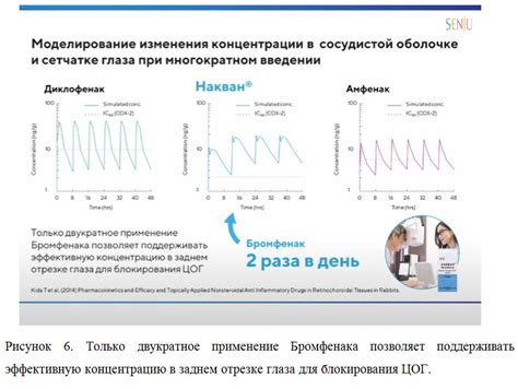 Двукратное применение Супрастинекса: особенности и возможные показания