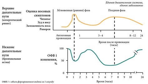 Длительность и проявление симптомов