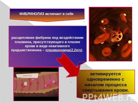 Документированная эффективность использования фибрина