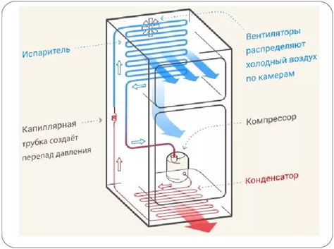 Долгосрочные последствия холодильника на помойке