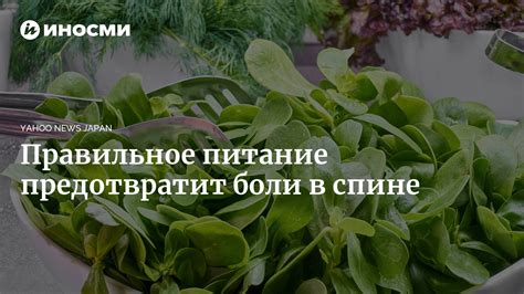 Дополнительные меры питания для предотвращения болей