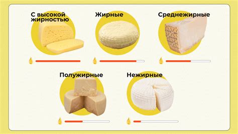 Допустимые виды сыра для котов