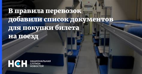 Достоинства покупки билета на поезд для собаки