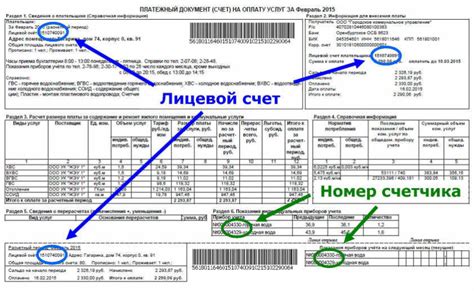 Единый лицевой счет в Центробанке: получение и преимущества