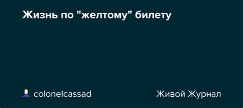 Жизнь Сони Мармеладовой до шага по желтому билету